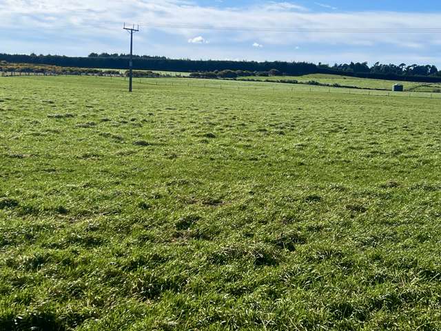 31 Mason Road Seaward Bush_2