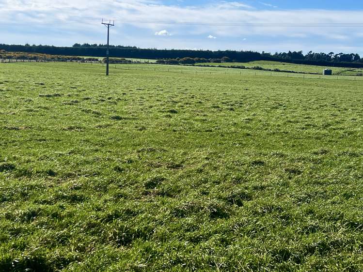 31 Mason Road Seaward Bush_2