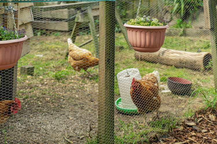 9 Hayward Court Te Puke_18