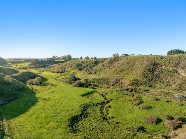 130 Pongakawa Bush Road Pongakawa_27