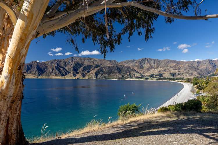 48 Flora Dora Parade Lake Hawea_15