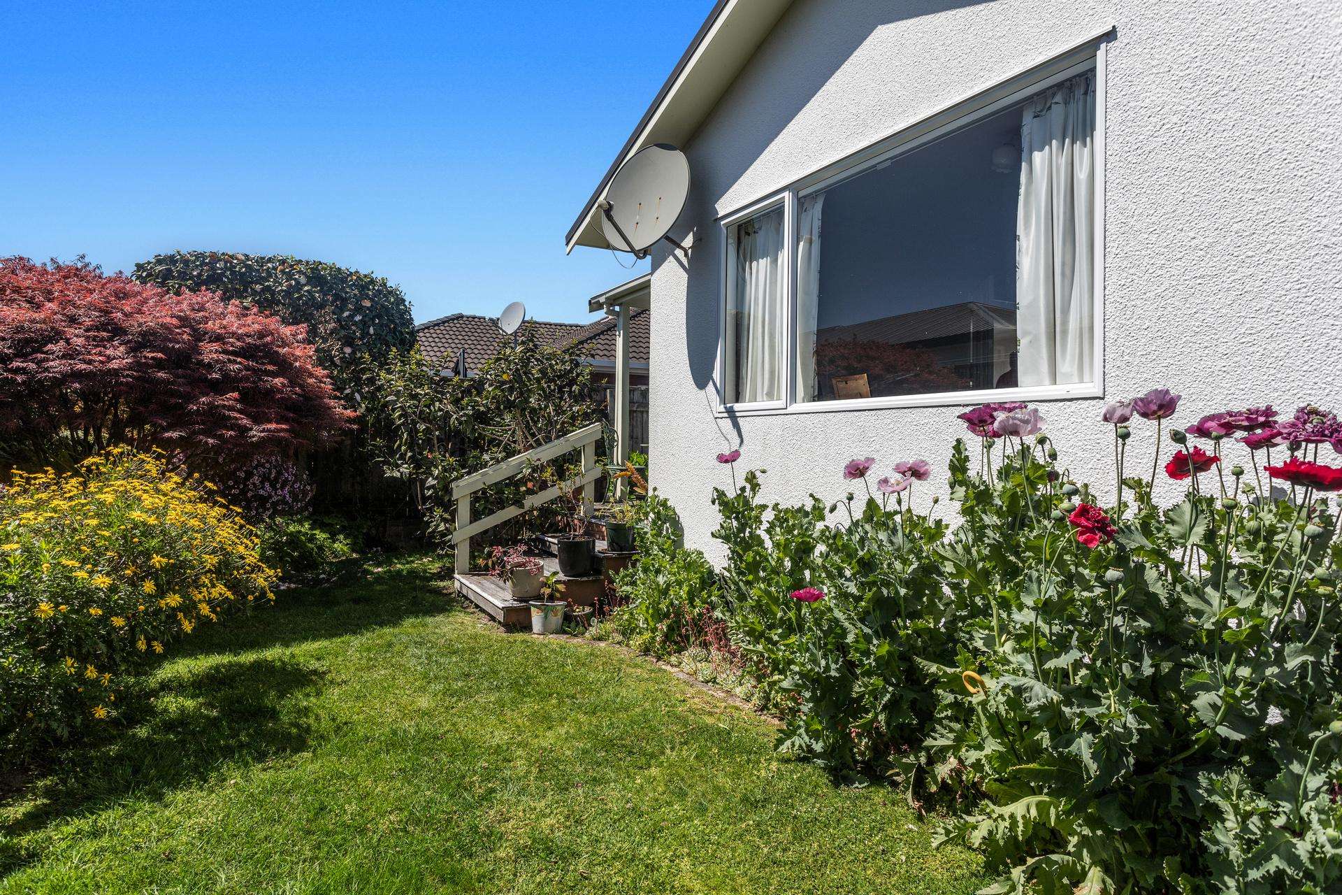 74a Victoria Avenue Whakatane_0