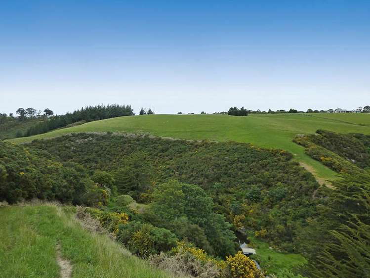 185 Mcintosh Road Brighton_5