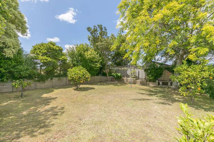 746 Picquet Hill Road Te Awamutu_2