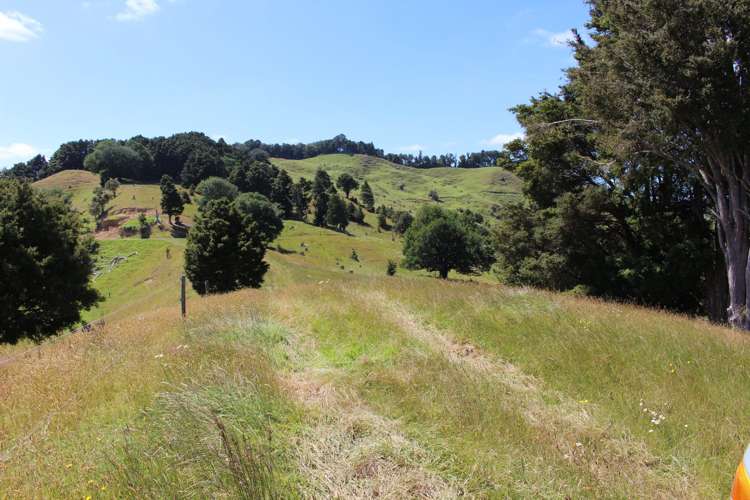 328 Oetzman Road Towai_7