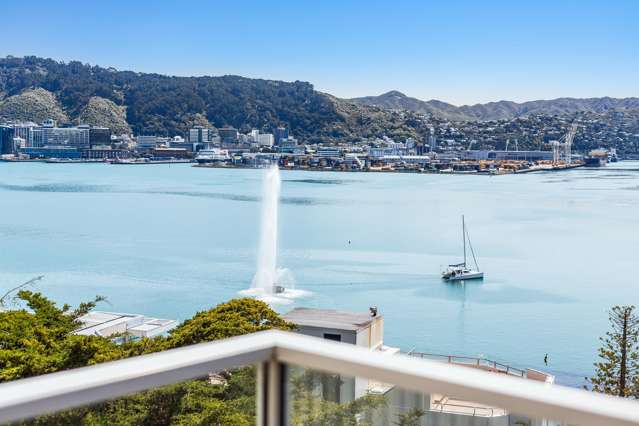 Level-Access Opportunity in Stunning Oriental Bay