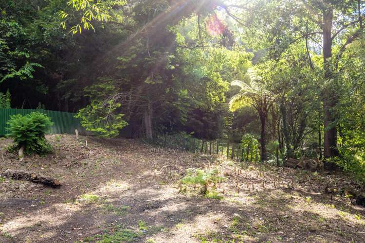 77 Shelley Road Whataupoko_24