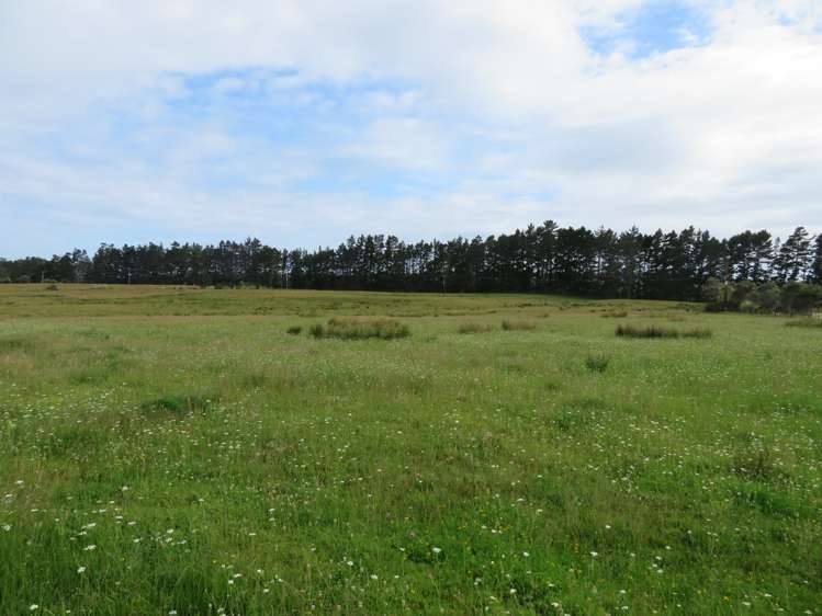 20 Mangatete Road Kaingaroa_2