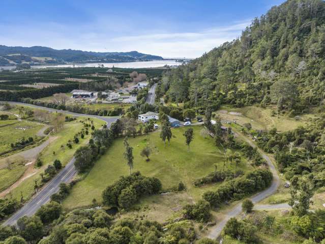 896a Hikuai Settlement Road Pauanui_3