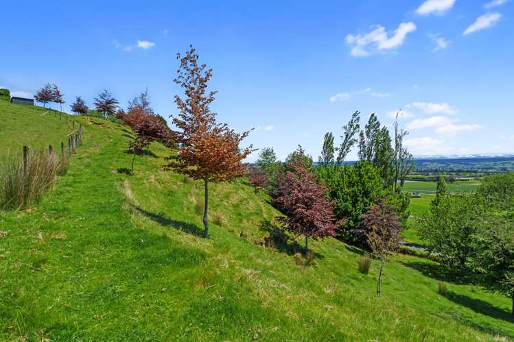 231 Aniseed Valley Road Hope_37