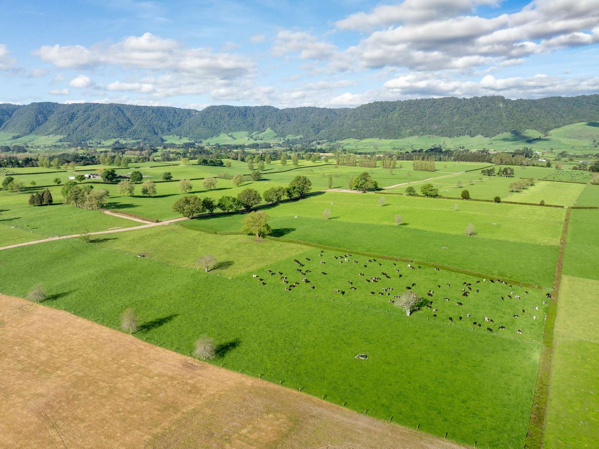 72 and 82 Harding Road Matamata_0