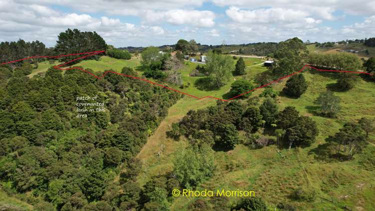 318 Franklin Road Paparoa_25
