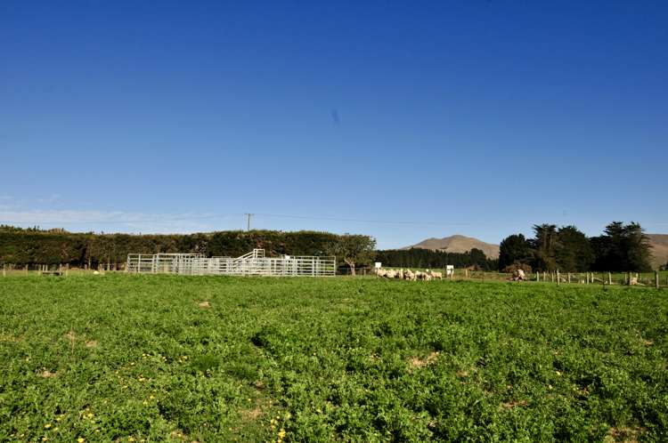 Livingstone-Duntroon Road Duntroon_1