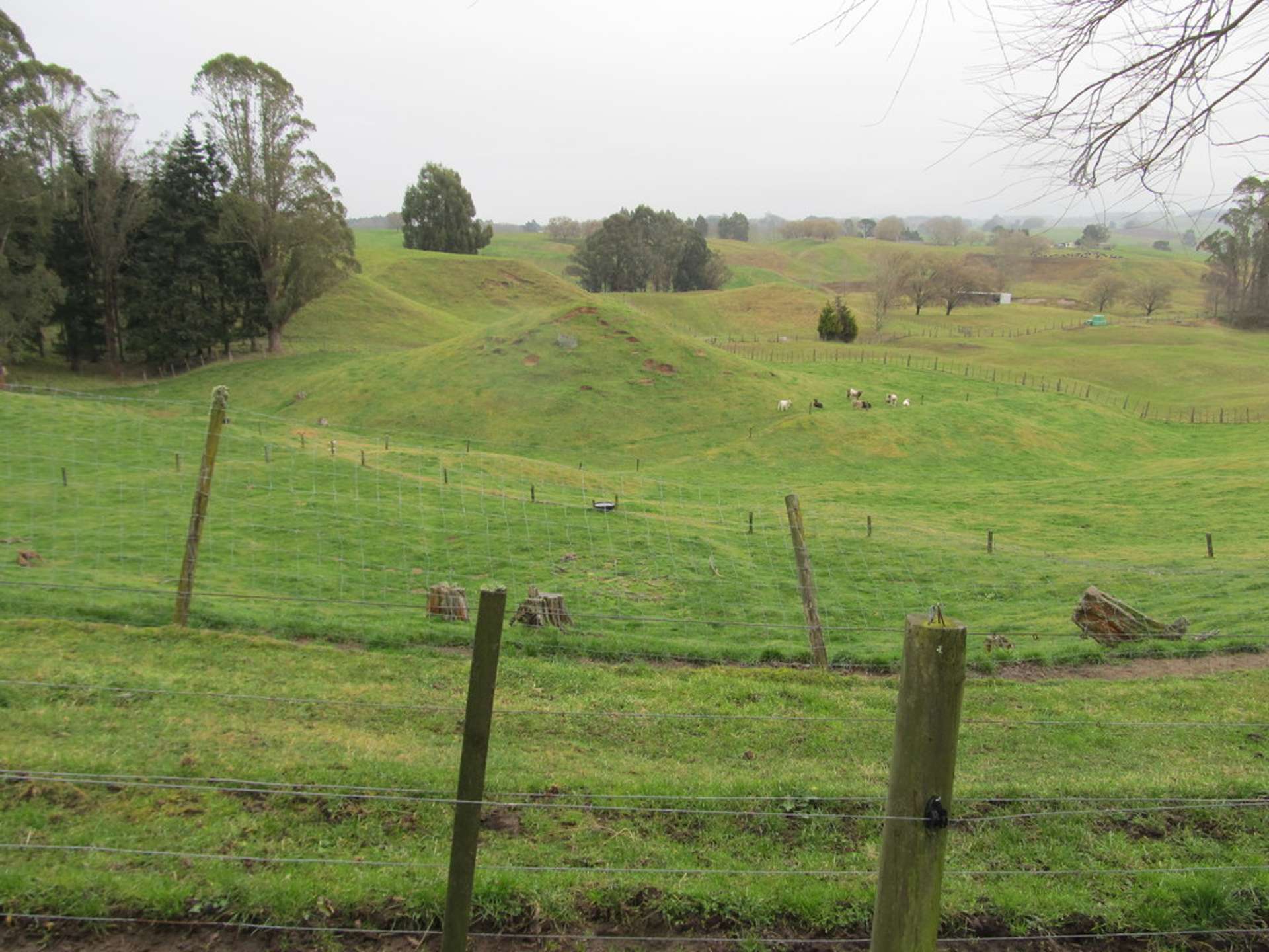 725 State Highway Five Wairakei and Surrounds_0