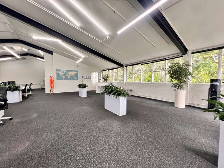 330 Dominion Road Mt Eden_8