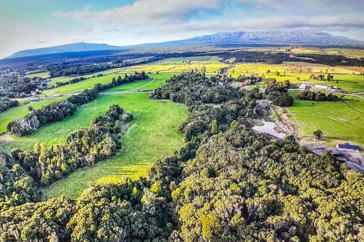 Lot 3 Matapuna Road Horopito_8