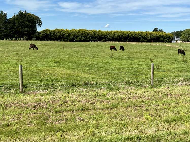 35 McKellar Road Seaward Bush_2