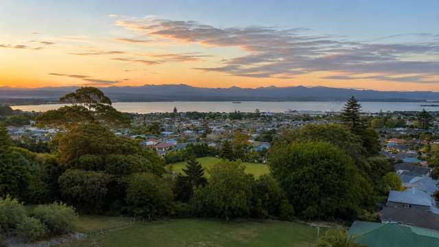 28 Ballard Drive Stoke_2