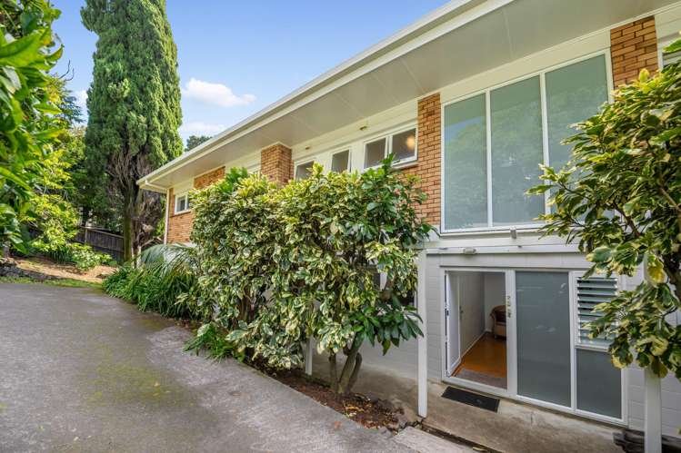 2/30A Mainston Road Remuera_13