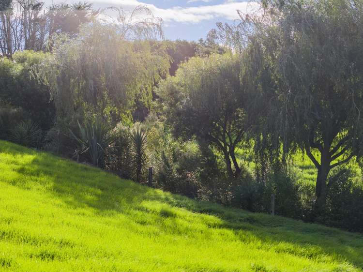 45C Finlayson Road Matarau_13