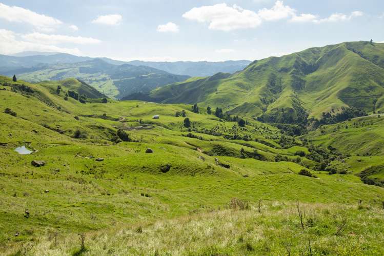 Matawai Station, 772 Oliver Road Matawai_19