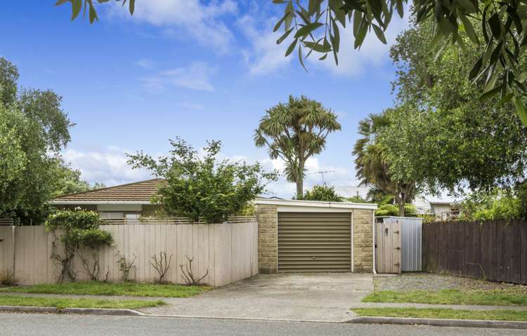 36 Green Street Tahunanui_12