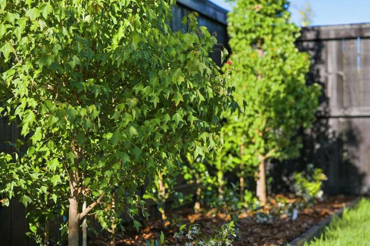 25 Carronade Street Papamoa Beach_22