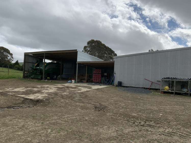 20 Forsyth Road Catlins Surrounds_2