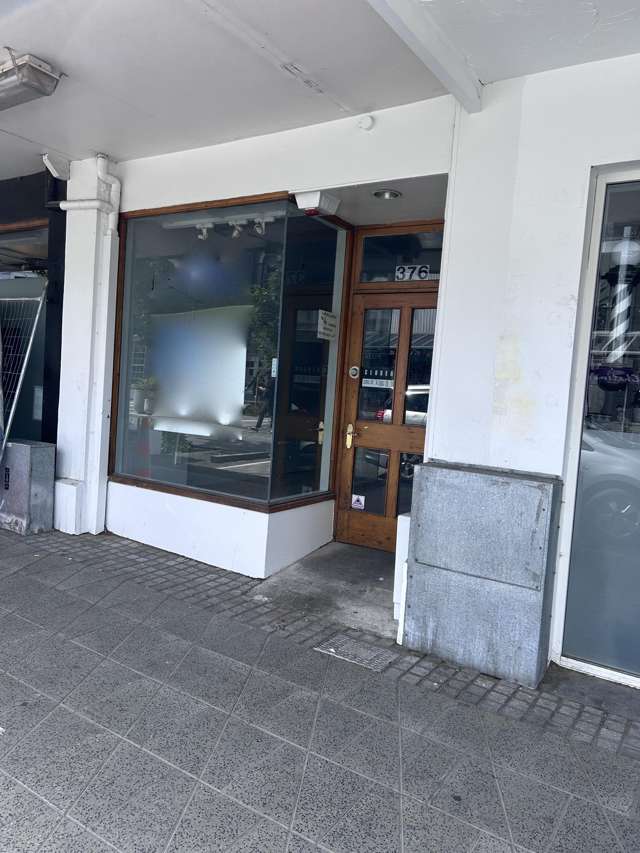 376 George Street Dunedin Central_1