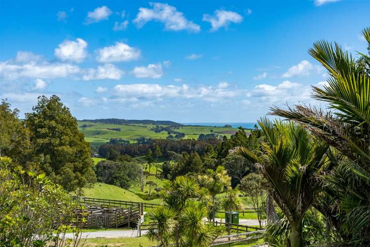 157 Hinau Road Waimauku_23