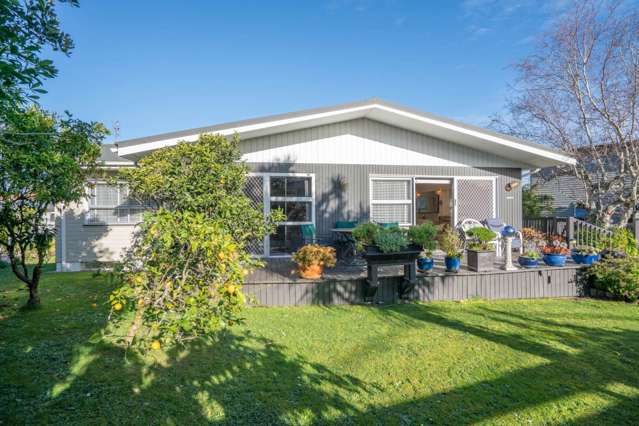 80 Webster Avenue Mount Roskill_3