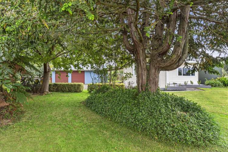 853 Tahuroa Road Morrinsville_24