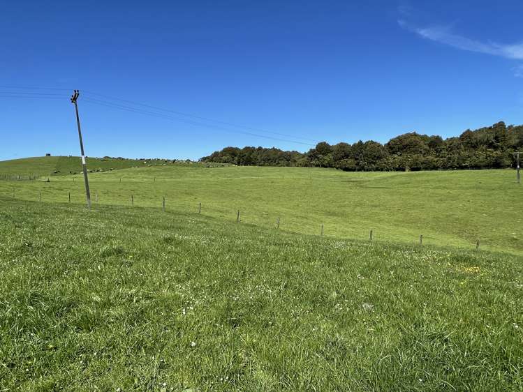 Pekanui Road Puketotara_11