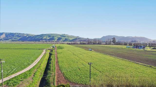 85 West Road Havelock North_3