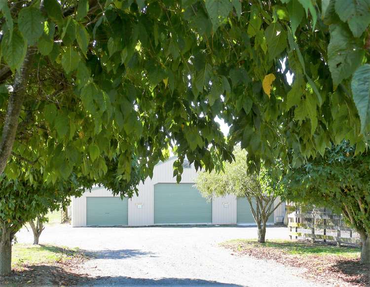 166 Hangawera Road Morrinsville_11