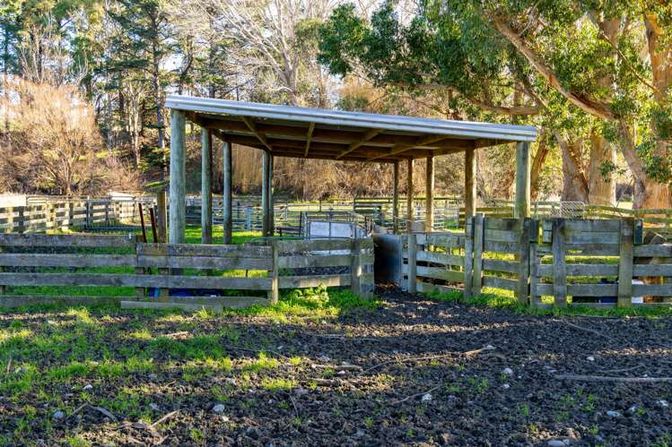 7611 State Highway 1 Ward_15