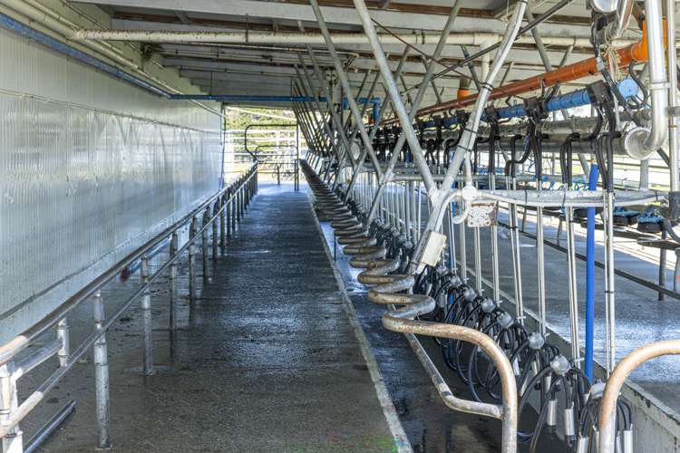 94 Brogdens Road Lowcliffe_15