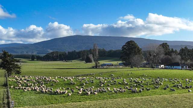 177 Otautau Tuatapere Road Otautau_2