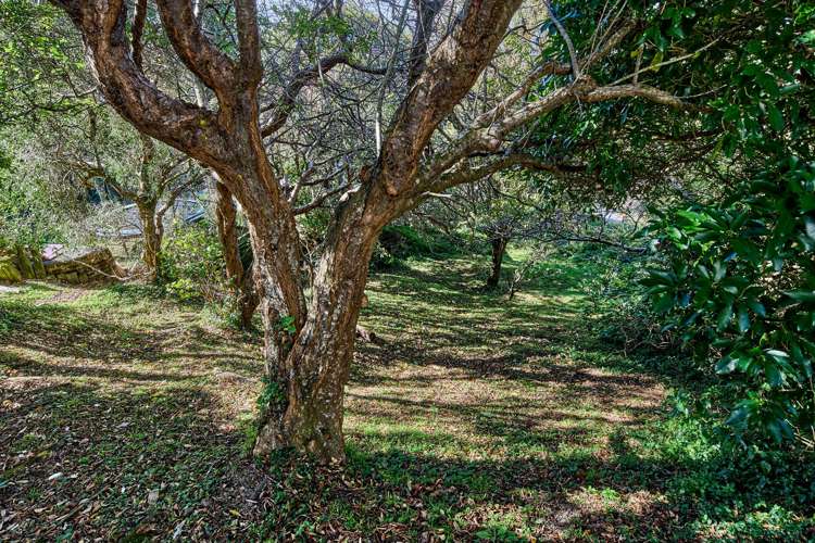 24 Havelock Street Mornington_12