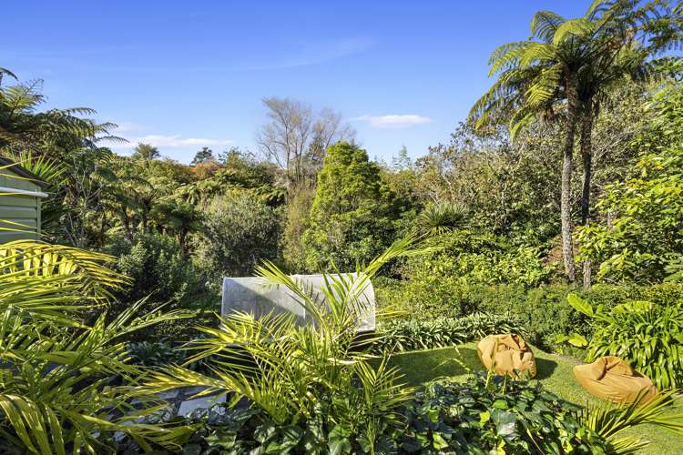 7 Mill Road Lower Vogeltown_15