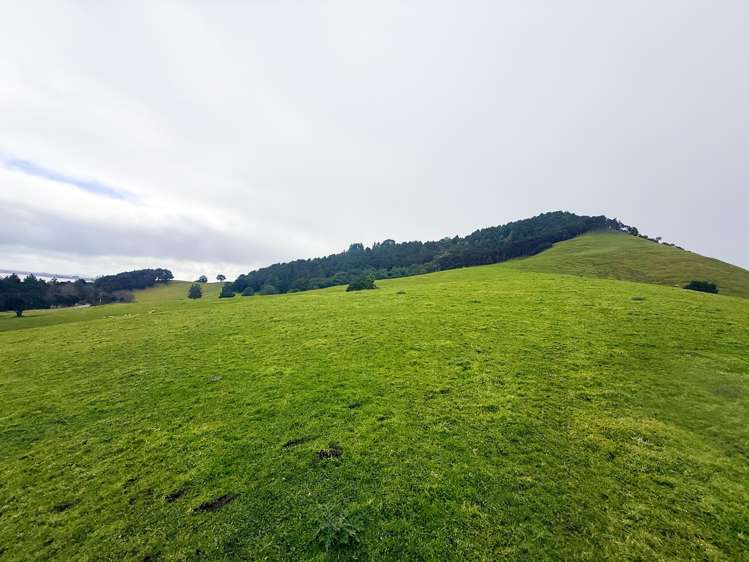 596 Waikare Road Waerenga_22