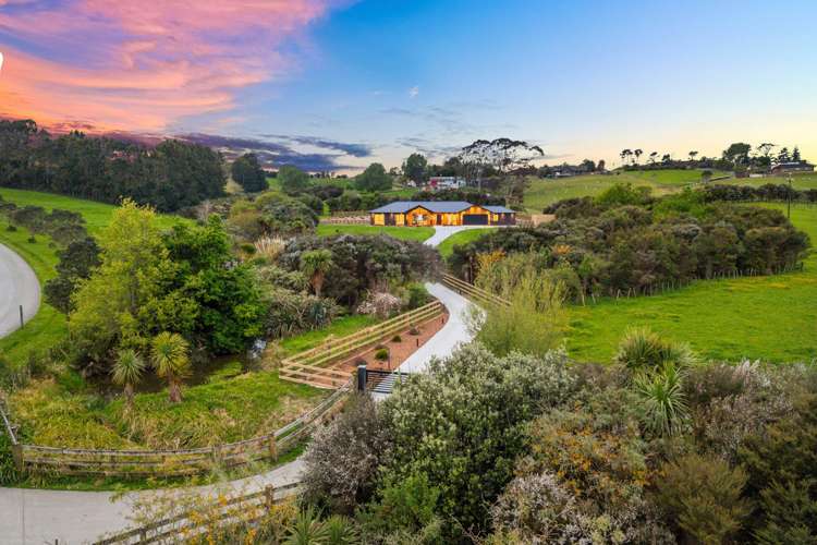 51 Follies Way Dairy Flat_39