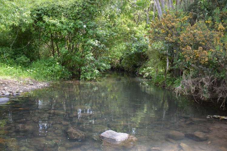 50 Le Bons Valley Road Le Bons Bay_5