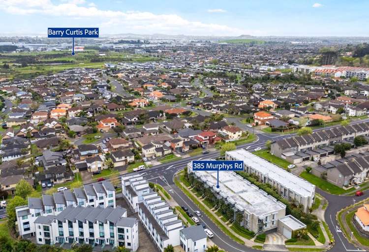 385 Murphys Road Flat Bush_18