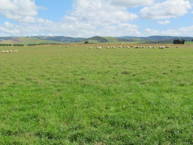 734 Crichton Road Milton_17