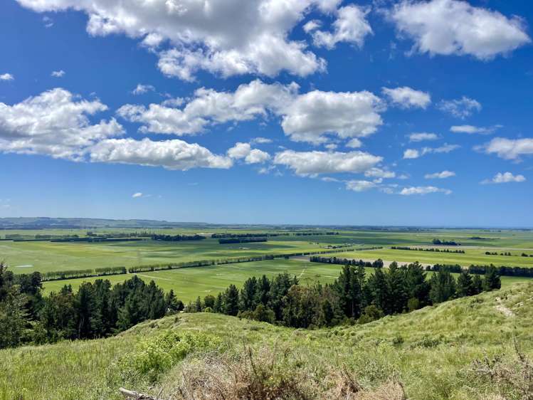 Lot 1 Gaudion Road, Peebles Oamaru_14