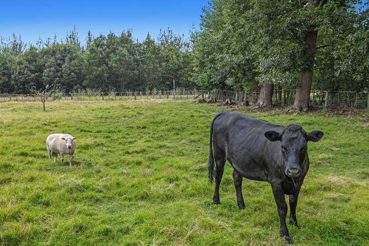 2354 State Highway 30 Otakiri_26