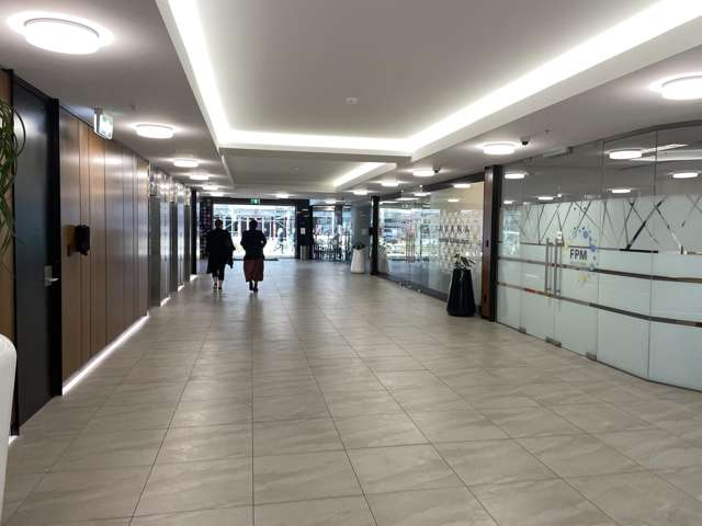 44 The Terrace Wellington Central_3