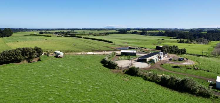 149 Paerewa Road Waverley_20