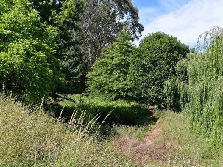 1431 Motueka Valley Highway Ngatimoti_6